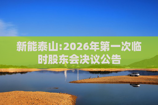 新能泰山:2026年第一次临时股东会决议公告  第1张