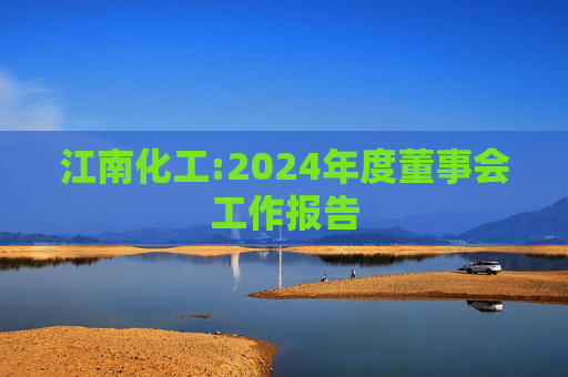 江南化工:2024年度董事会工作报告