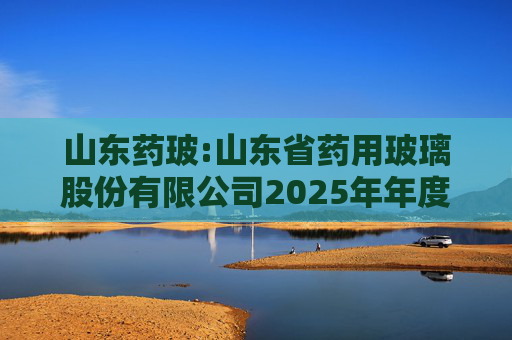 山东药玻:山东省药用玻璃股份有限公司2025年年度报告