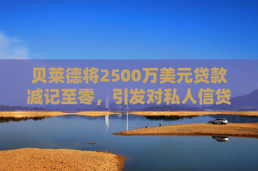贝莱德将2500万美元贷款减记至零，引发对私人信贷的担忧