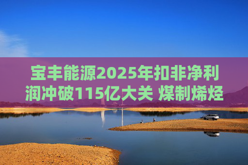 宝丰能源2025年扣非净利润冲破115亿大关 煤制烯烃龙头迎高光时刻