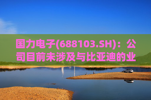 国力电子(688103.SH)：公司目前未涉及与比亚迪的业务合作