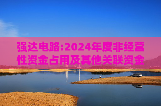 强达电路:2024年度非经营性资金占用及其他关联资金往来情况汇总表