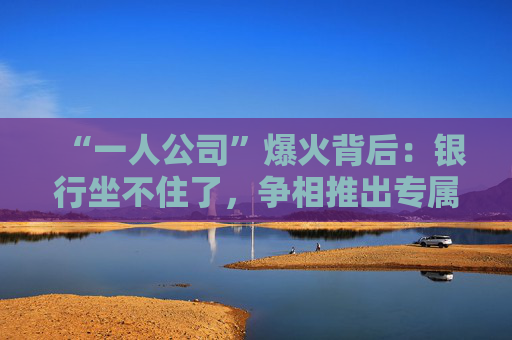 “一人公司”爆火背后：银行坐不住了，争相推出专属金融方案