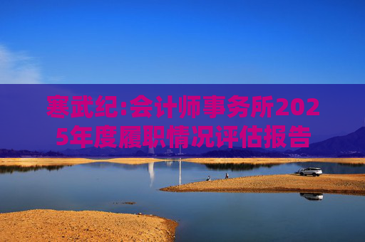 寒武纪:会计师事务所2025年度履职情况评估报告