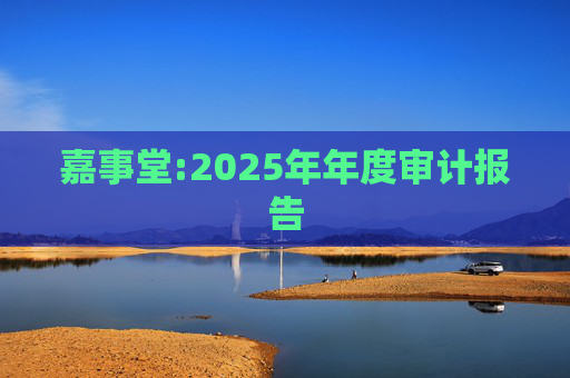 嘉事堂:2025年年度审计报告