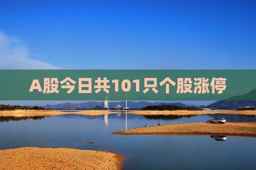 A股今日共101只个股涨停