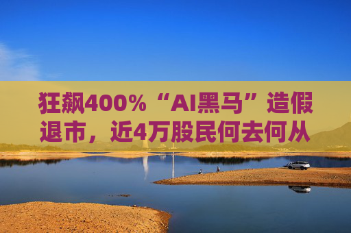 狂飙400%“AI黑马”造假退市，近4万股民何去何从？