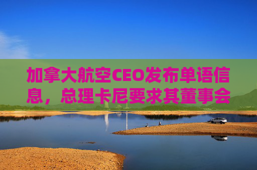 加拿大航空CEO发布单语信息，总理卡尼要求其董事会作出解释  第1张