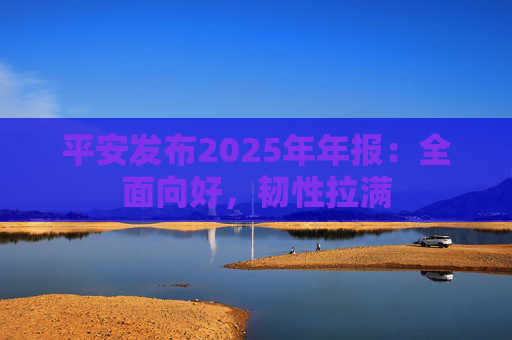 平安发布2025年年报：全面向好，韧性拉满
