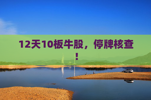 12天10板牛股，停牌核查！