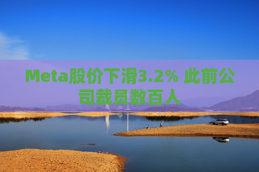 Meta股价下滑3.2% 此前公司裁员数百人