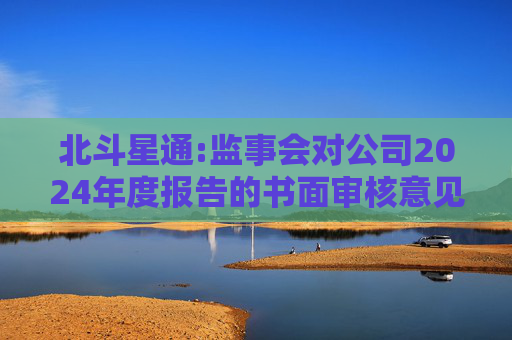 北斗星通:监事会对公司2024年度报告的书面审核意见  第1张