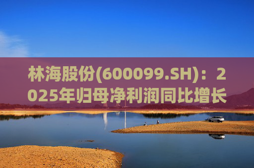 林海股份(600099.SH)：2025年归母净利润同比增长33.24%，每股拟派利0.045元