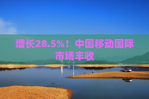 增长28.5%！中国移动国际市场丰收