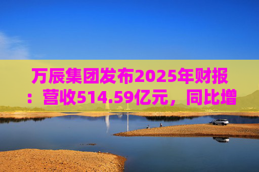 万辰集团发布2025年财报：营收514.59亿元，同比增长59.17%