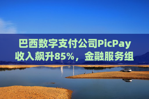 巴西数字支付公司PicPay收入飙升85%，金融服务组合持续扩大