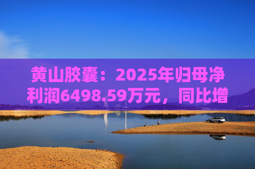 黄山胶囊：2025年归母净利润6498.59万元，同比增长31.94%