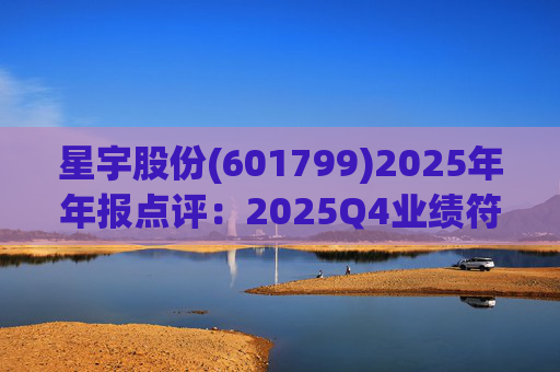 星宇股份(601799)2025年年报点评：2025Q4业绩符合预期 自主车灯龙头持续成长