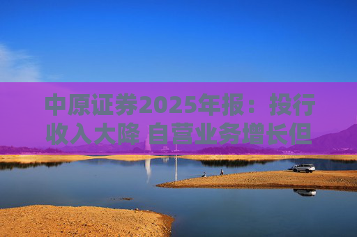 中原证券2025年报：投行收入大降 自营业务增长但趋于保守