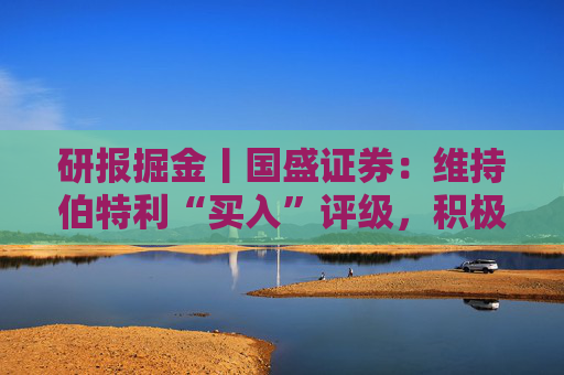 研报掘金丨国盛证券：维持伯特利“买入”评级，积极布局机器人行业