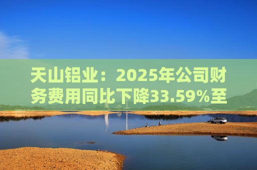 天山铝业：2025年公司财务费用同比下降33.59%至4.70亿元  第1张