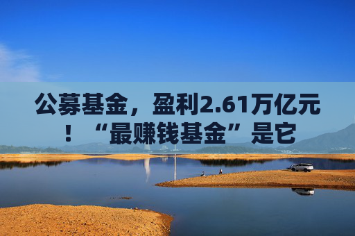公募基金，盈利2.61万亿元！“最赚钱基金”是它