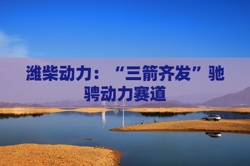 潍柴动力：“三箭齐发”驰骋动力赛道