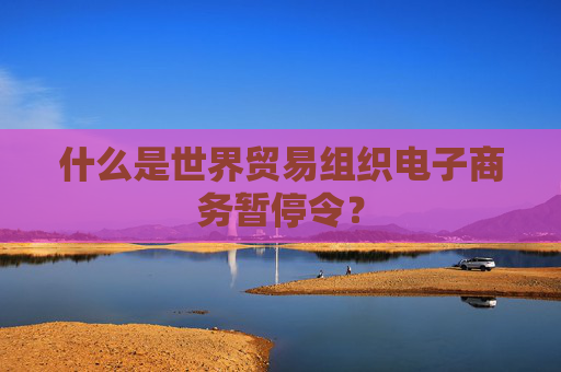 什么是世界贸易组织电子商务暂停令？