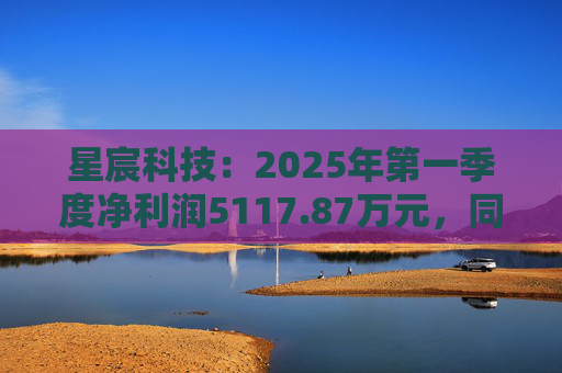 星宸科技：2025年第一季度净利润5117.87万元，同比增长0.48%