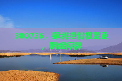 300736，筹划控制权变更，明起停牌