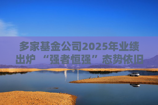 多家基金公司2025年业绩出炉 “强者恒强”态势依旧