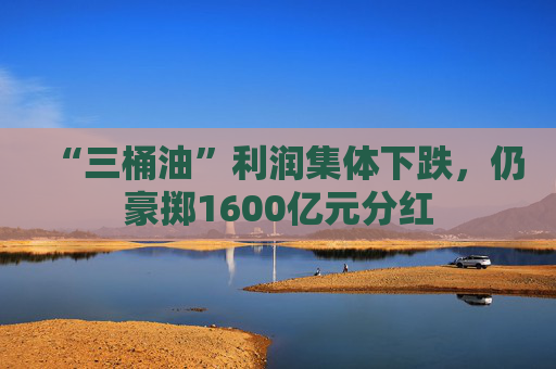 “三桶油”利润集体下跌，仍豪掷1600亿元分红