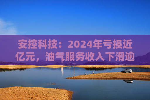 安控科技：2024年亏损近亿元，油气服务收入下滑逾两成  第1张