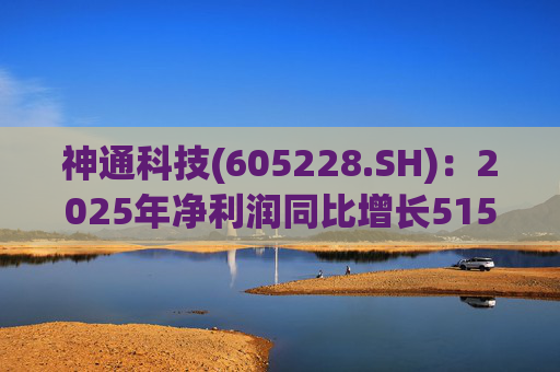 神通科技(605228.SH)：2025年净利润同比增长515.85%
