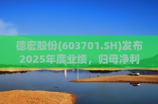 德宏股份(603701.SH)发布2025年度业绩，归母净利润1153.69万元，同比下降74.99%  第1张