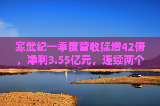 寒武纪一季度营收猛增42倍，净利3.55亿元，连续两个季度盈利  第1张
