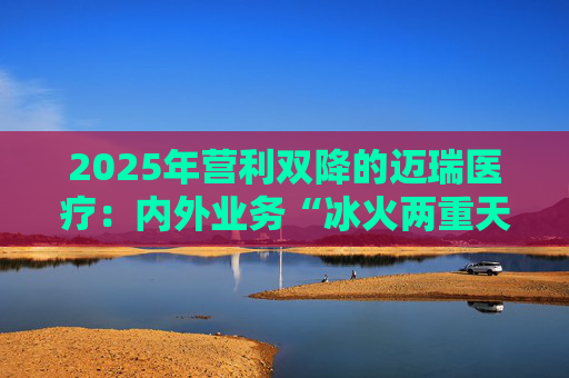 2025年营利双降的迈瑞医疗：内外业务“冰火两重天”