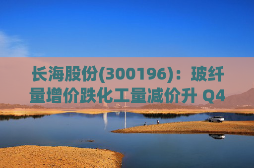 长海股份(300196)：玻纤量增价跌化工量减价升 Q4业绩同比显著修复