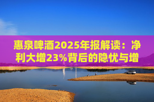 惠泉啤酒2025年报解读：净利大增23%背后的隐忧与增长困局  第1张