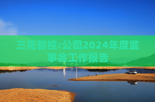 三花智控:公司2024年度监事会工作报告