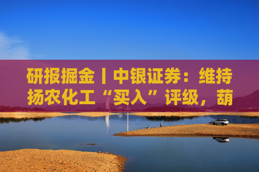 研报掘金丨中银证券：维持扬农化工“买入”评级，葫芦岛基地项目建设稳步推进