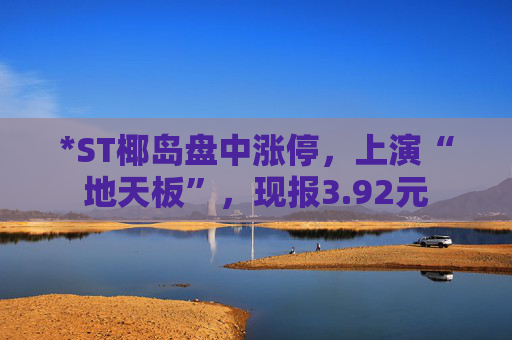 *ST椰岛盘中涨停，上演“地天板”，现报3.92元