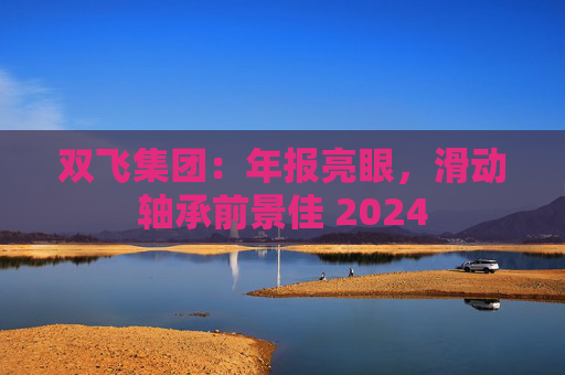 双飞集团：年报亮眼，滑动轴承前景佳 2024