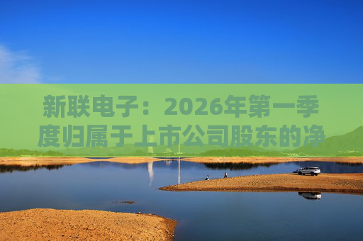 新联电子：2026年第一季度归属于上市公司股东的净利润是91152716.65元