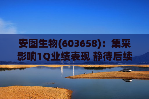 安图生物(603658)：集采影响1Q业绩表现 静待后续恢复