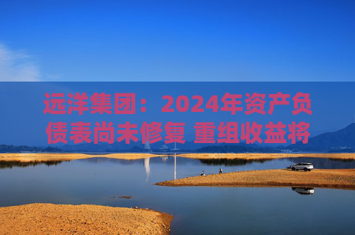 远洋集团：2024年资产负债表尚未修复 重组收益将于2025年释放  第1张