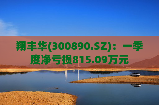 翔丰华(300890.SZ)：一季度净亏损815.09万元