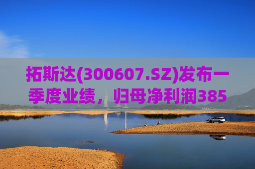 拓斯达(300607.SZ)发布一季度业绩，归母净利润385.48万元，下降87.14%  第1张