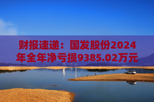 财报速递：国发股份2024年全年净亏损9385.02万元